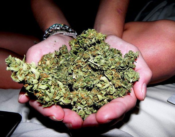 Батайск марихуана с степное конопля