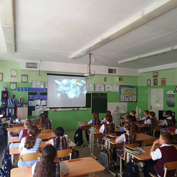 Ученики начальных классов миллеровского лицея № 7 стали участниками Всероссийского образовательного онлайн-проект «Помощники Земли»